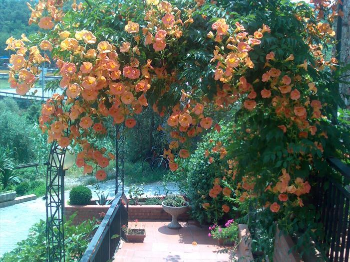La Magione Hotel Serravalle Pistoiese Buitenkant foto